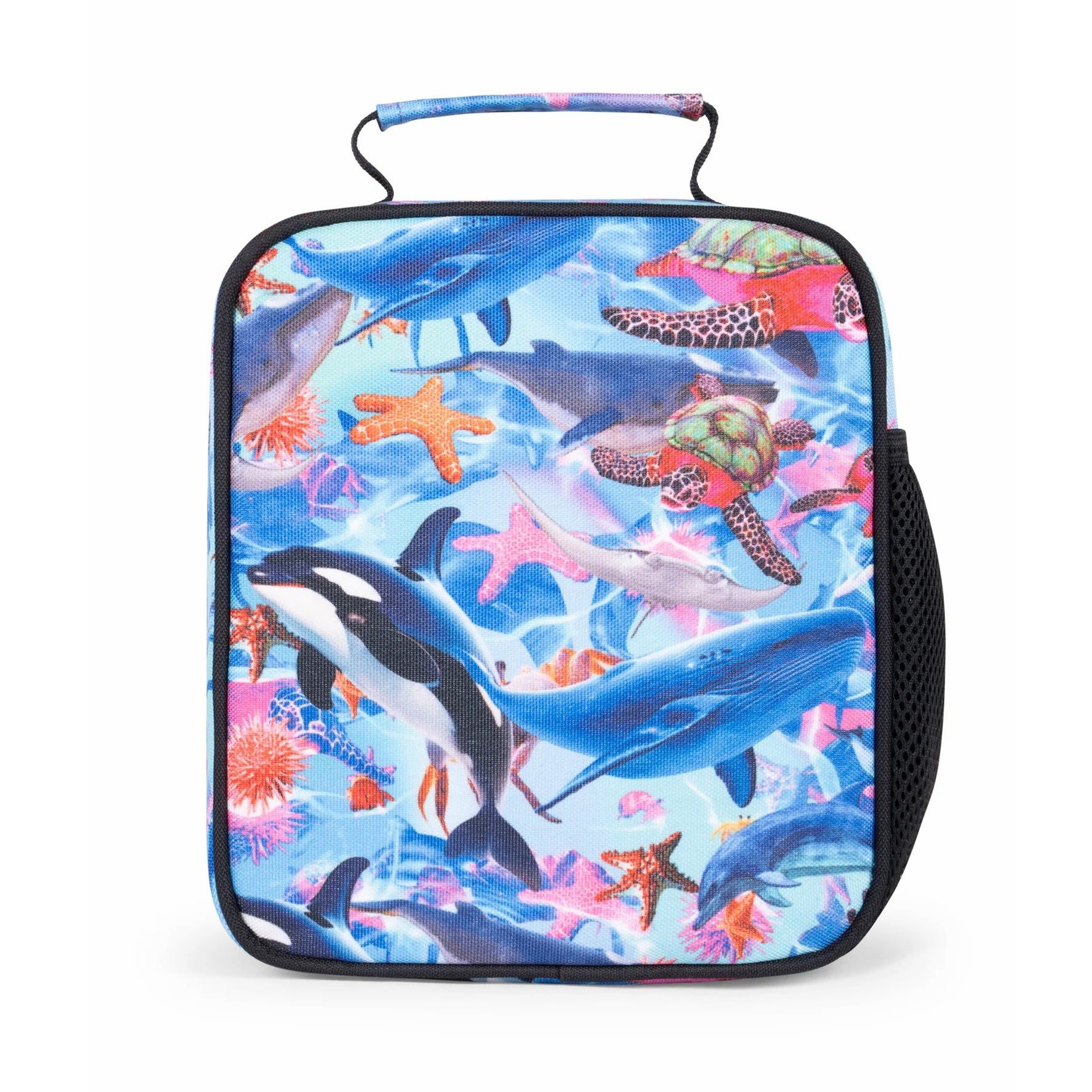 Blue Sea Life Lunch Box